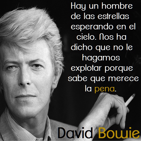 frases de David Bowie1 Frases de David Bowie para Whatsapp