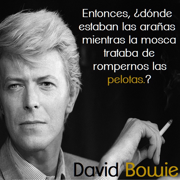 frases de David Bowie2 Frases de David Bowie para Whatsapp